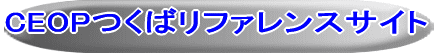 CEOP���t�@�����X�T�C�g�|���΁| 