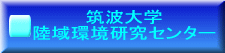 �T�v 