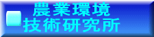 �T�v 