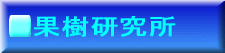 �T�v 