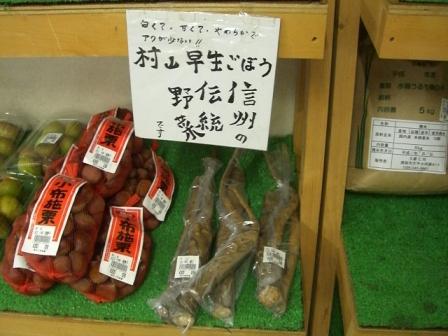 須坂市の在来品種「村山早生ごぼう」