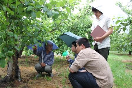 農家への聞き取り調査