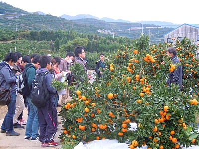 巡検の様子